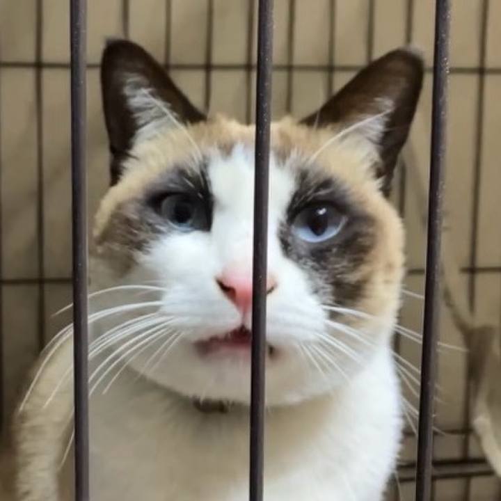 15fe1113 d355 4994 b07a 6481b1ca559a 1740311817876