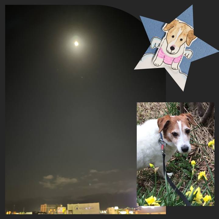 15fe4fa4 cef3 4a9c 852d 7dd5f080b7d3 1647340261750