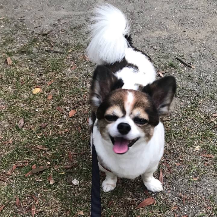 15fe633b de07 4211 8d5a 1a74907ebd60 1687945923093