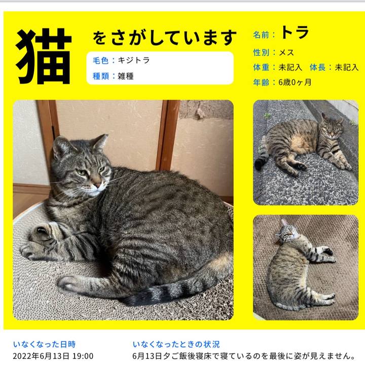 15fe7db1 6601 4ab2 818c b289b283eae6 1655440775543