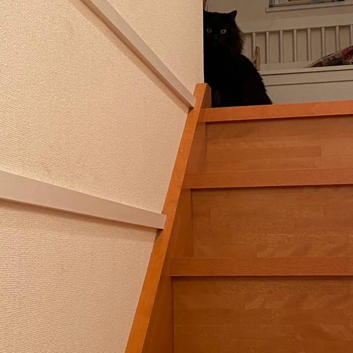 15fe872c 0fb2 4aa0 b64e 2995deb5e46d 1579704797539