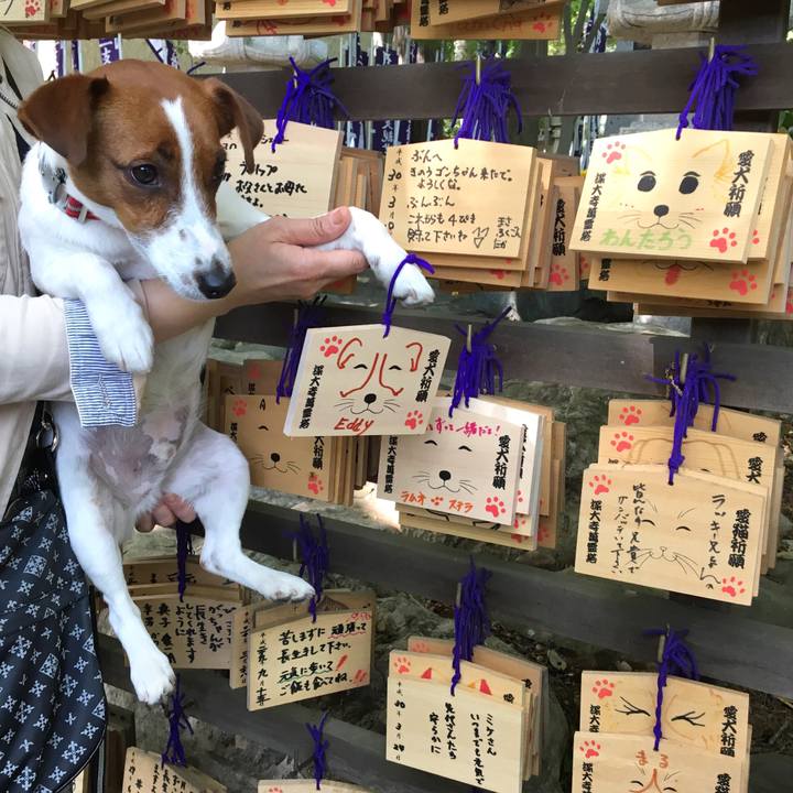 15fef214 2f11 4b67 b84f 9ca6f553ecfe 1524997985708