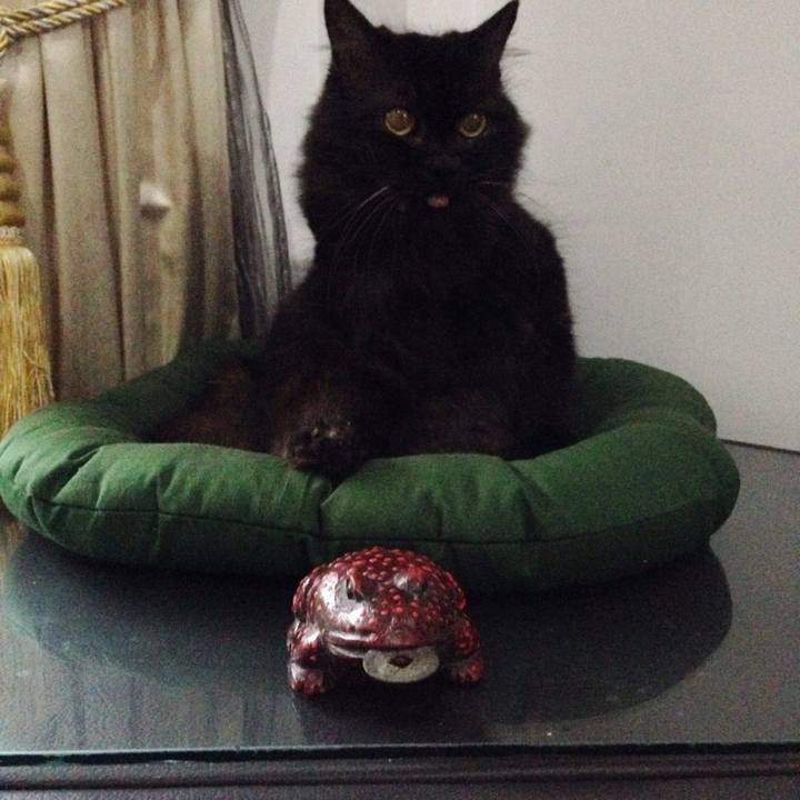 15ff0691 af91 49b5 a259 be12d9643385 1763897669973