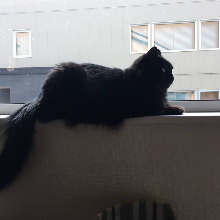 15ff18c5 41ae 4e4c a908 3d85dfe90a9f 1527474568047