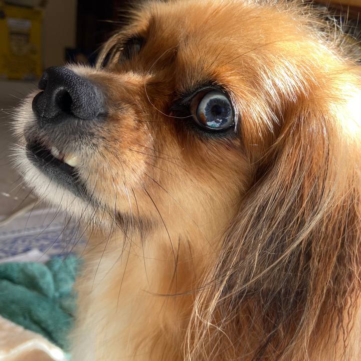 15ff3d1e 6a26 4310 8d00 dcbc440aec20 1632012834094