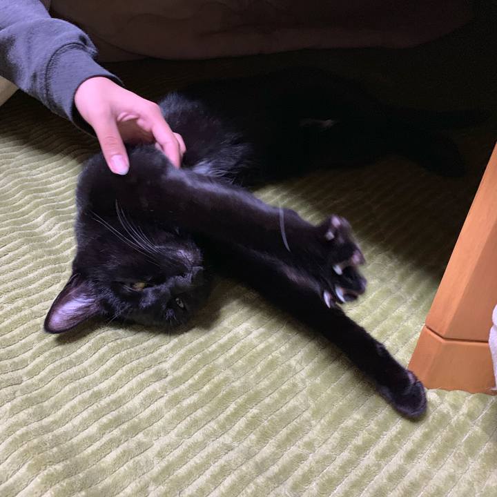 15ff4125 7bb9 49af aeef 4b48a6e2287c 1555340498906