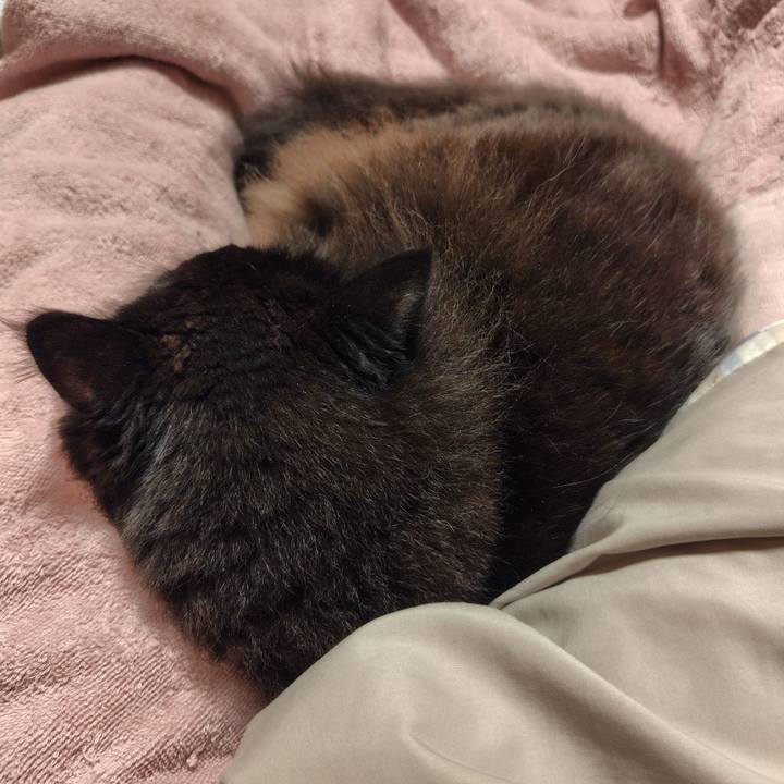 15ff56a7 8694 4fe7 94f4 409df08ea0ab 1727966854496