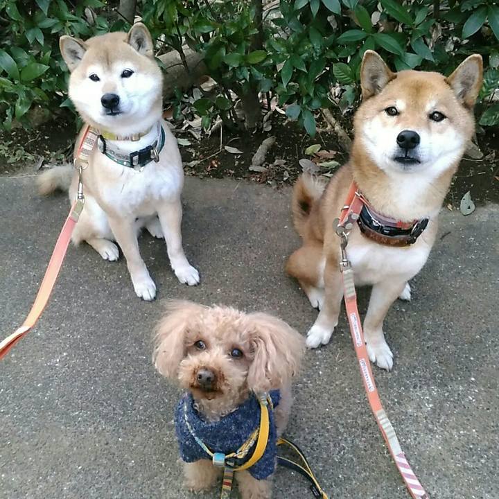 15ff5dff 8330 4505 b13e af3314f3daab 1579174130392