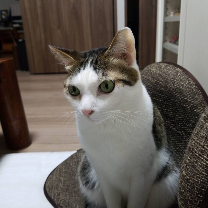 15ff6ac9 fdcc 40e4 9275 d75eff61a461 1551785285260