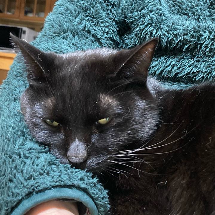 15ff7081 d6d3 4a89 8c82 49bdf91a78b2 1775834539624