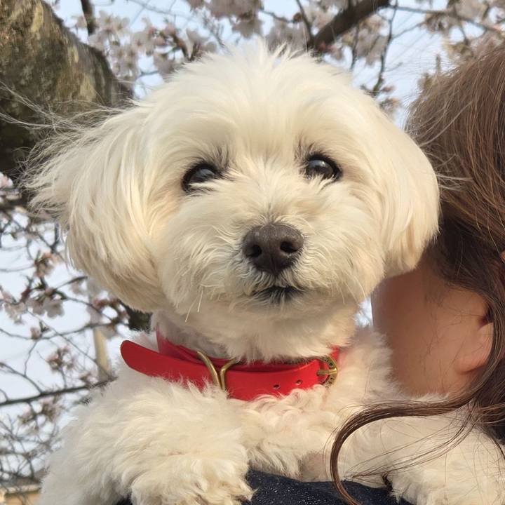 15ff7d98 7256 42cb be22 7400794c29a1 1774882209956