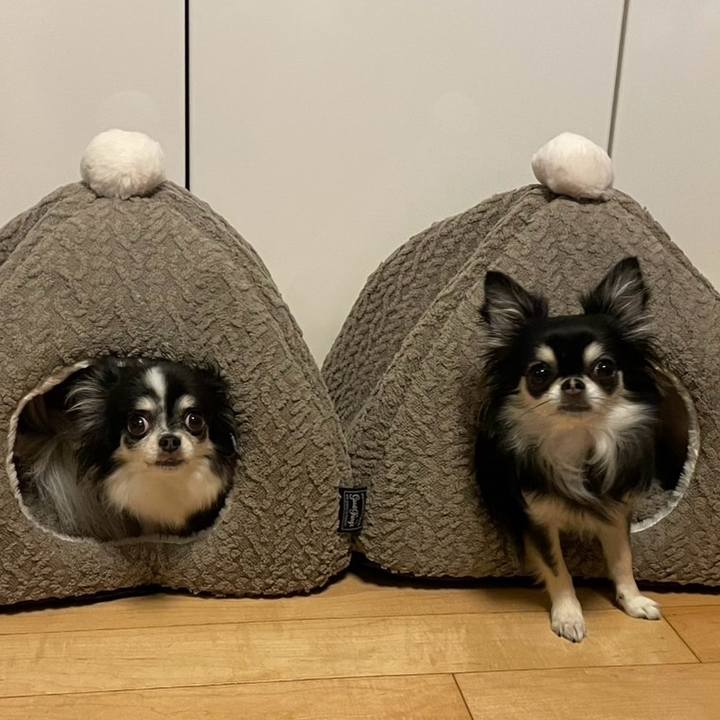 15ffc4ac 7158 40ec bc80 137deb033194 1762669365254