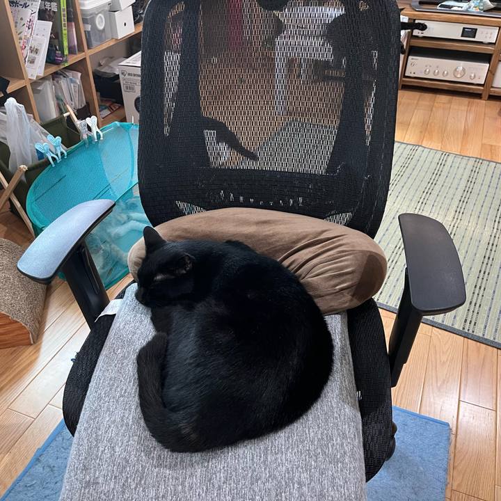 15ffcdaf 9950 4896 81ce 43b75989c8b6 1655770490911