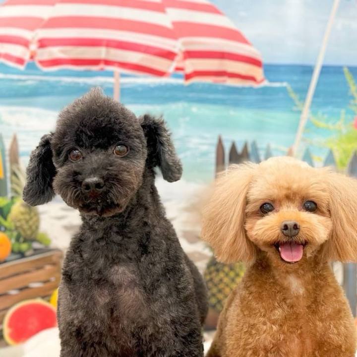 16000536 ef1c 4a07 92c3 d4739e6d8e78 1726396618738