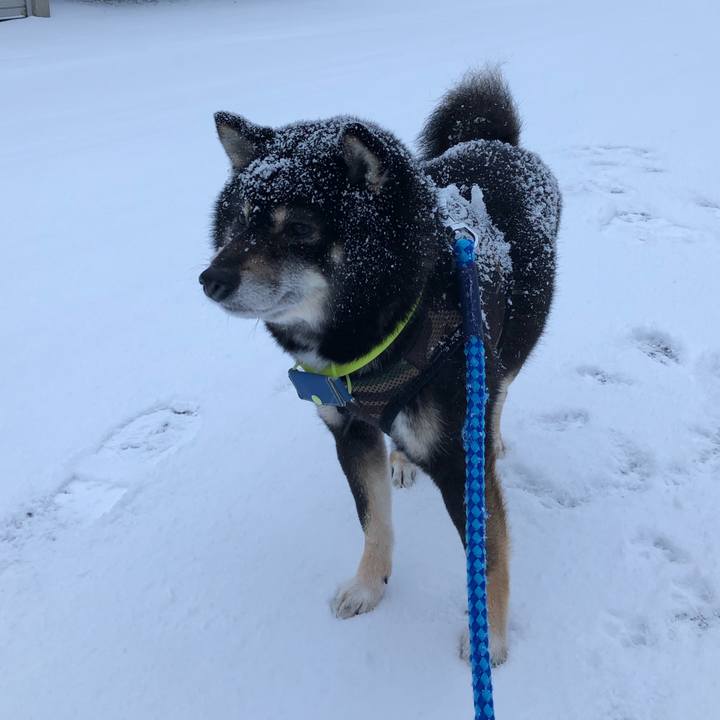 16003d12 bdaa 446b 8a97 423d5e607ec3 1553298793755