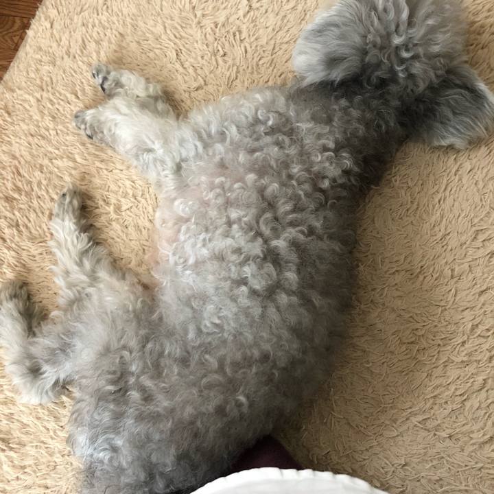 16004894 bbf9 4eed 8d9f 0e70d42b1dc2 1573778916280