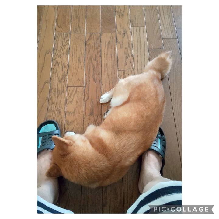 16007156 6cf4 4f1e bca2 d4c15a6fb8ec 1720241626620