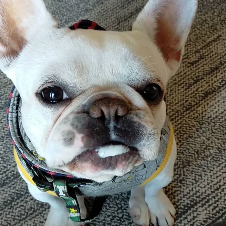 160072b7 3d18 4c09 994c de471235e53e 1646279224139