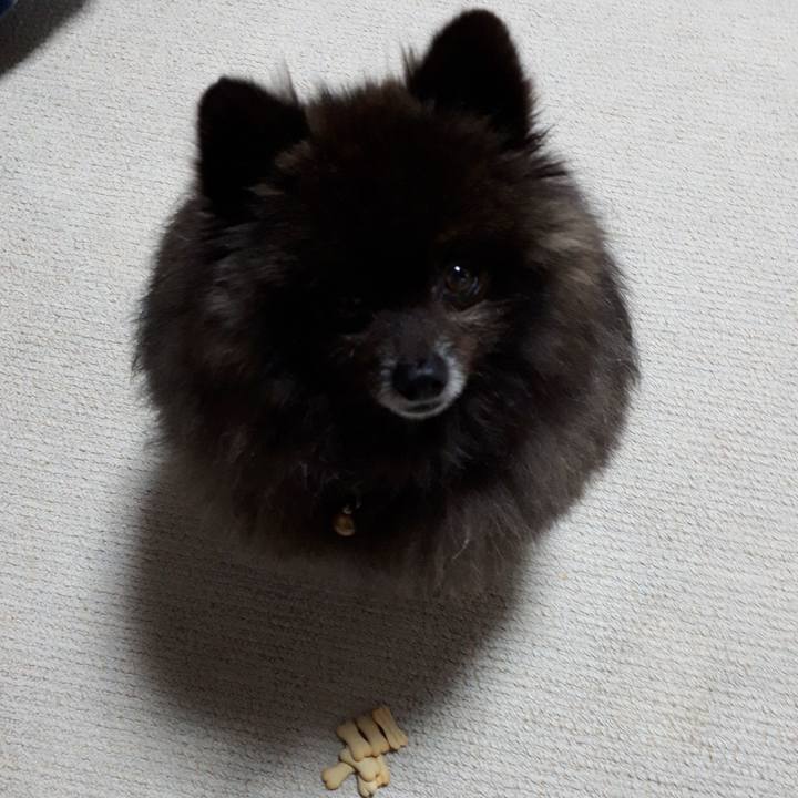 16007448 7a8e 40d7 9cc6 d8ab200157c0 1520534562041