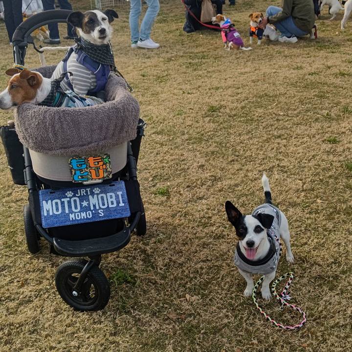 1600907b 2735 49f1 b781 c02df852c408 1700746595436