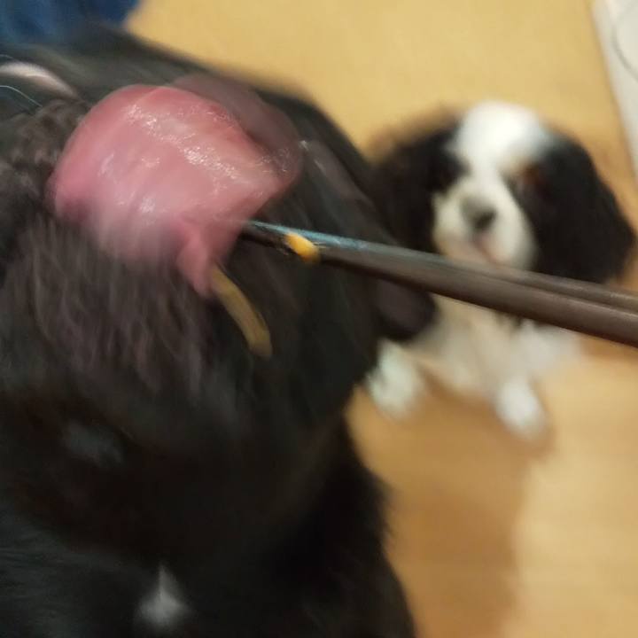 1600a995 15ff 42be ac92 d7551cce2858 1591297788897