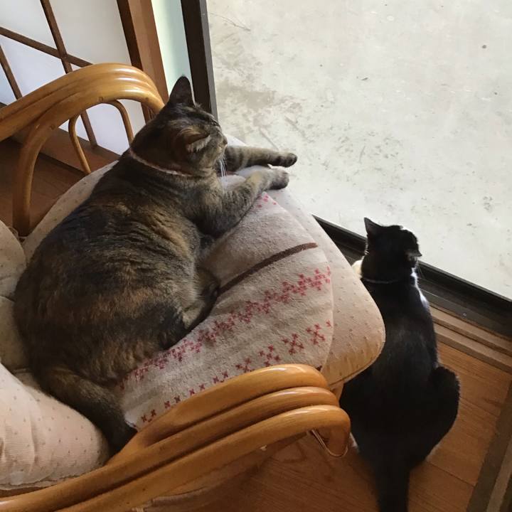 1600aa4c 22cd 4c16 adab 0acbca9f8caf 1691671631473