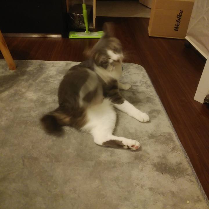 160101d4 0504 4393 9142 5543c38abb82 1587994172011