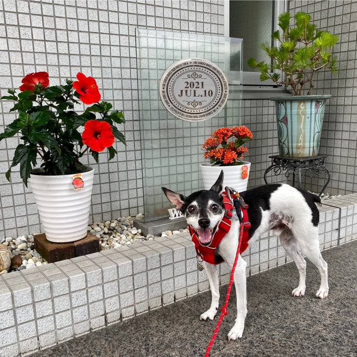 16013405 4ce6 4d38 862f 0815d39a1c7d 1625881553608