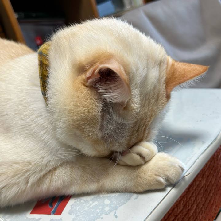 1601491b 3056 4e1b b423 2a1ff650b1e2 1761947481369