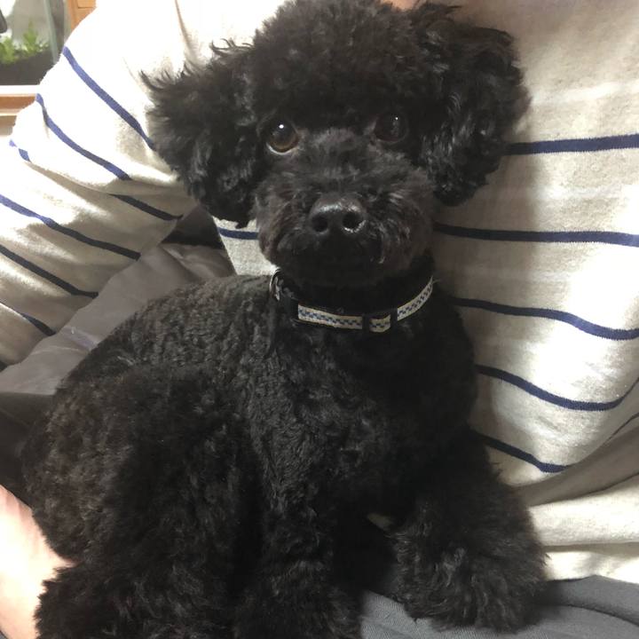 16015fd8 9f02 4d6c a8d8 2123901f2b58 1541972336702