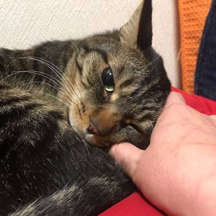 160170ed 63ef 49e0 950c d1d38d131ac0 1646744594184