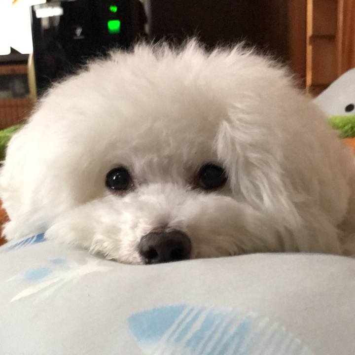 16018220 9b35 4744 b5f4 89d4c89eb56e 1594803811939