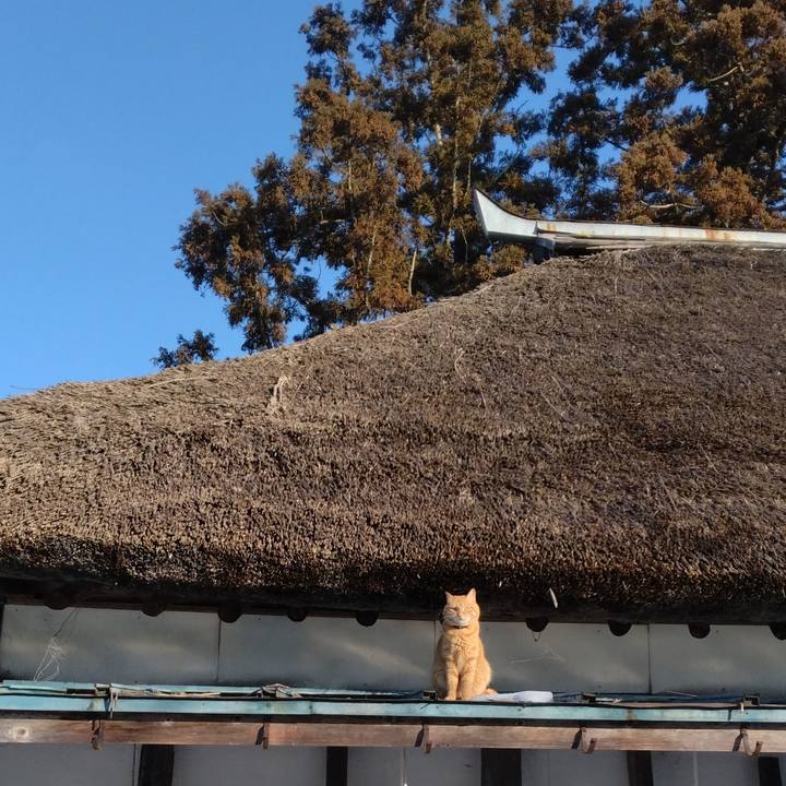 16018393 f97a 4725 ae5b 1f1d0318b886 1674172532829