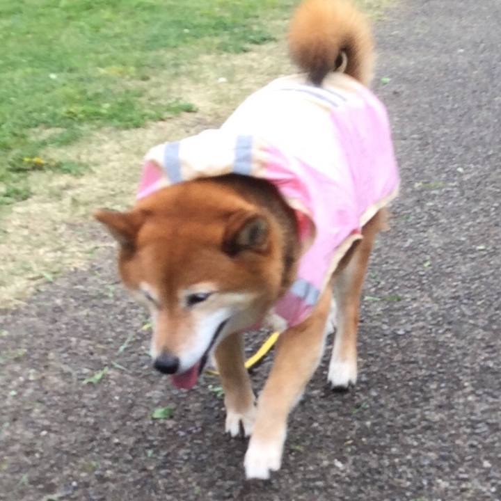 16019904 4f57 41fa 95df b437b6043bd8 1556087891544