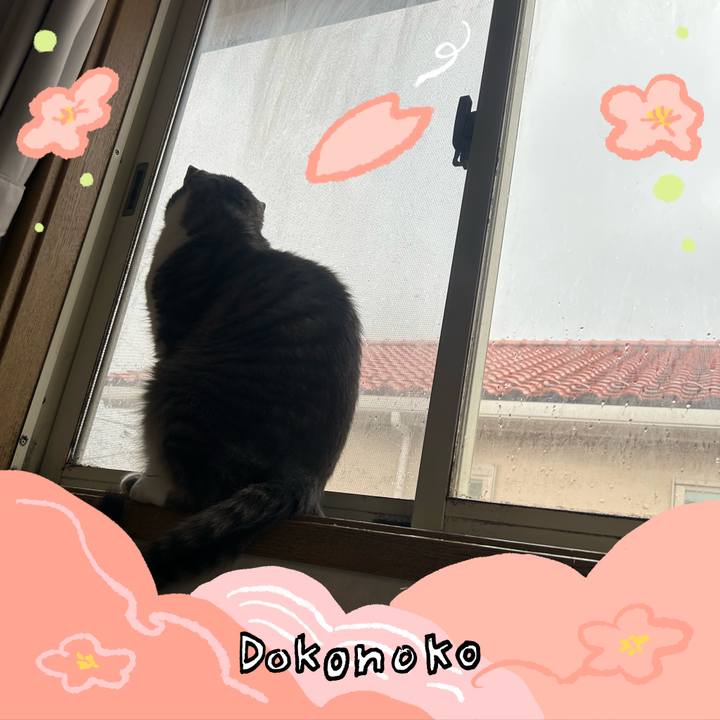 1601df0d c0bc 4e0d bf1f 6769e4dfddeb 1775271916819