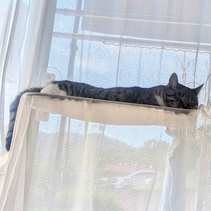 1601fc20 0dc5 46d9 b531 ee3a3a695fcb 1753402407786