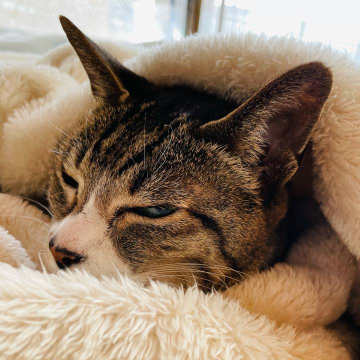 160269b2 ff06 46e1 9970 dad9e53e532b 1614562021477