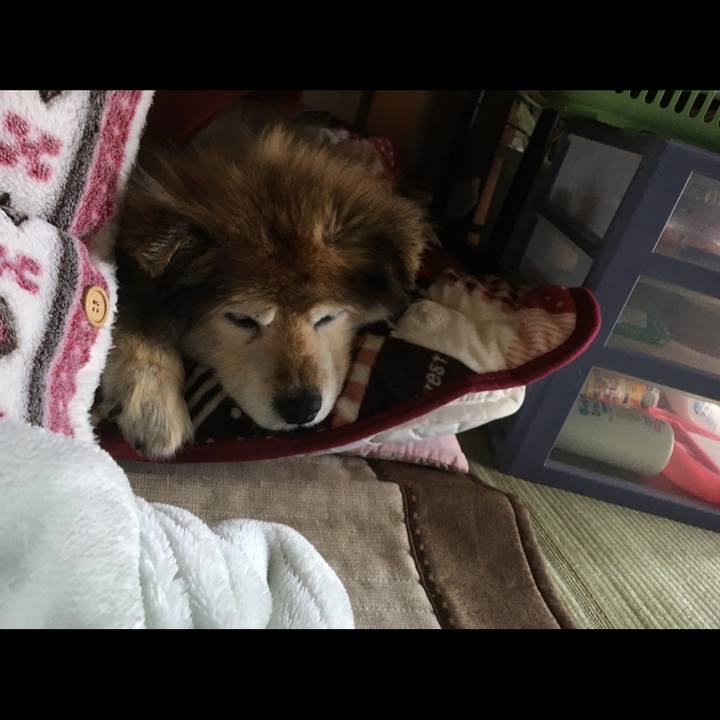 160284de 7db9 49fb 9634 bba9ead1ba11 1617540016458