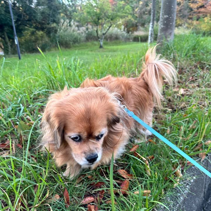 160284f0 a1e5 4f8e 8dd9 9972ee14748e 1762897029591