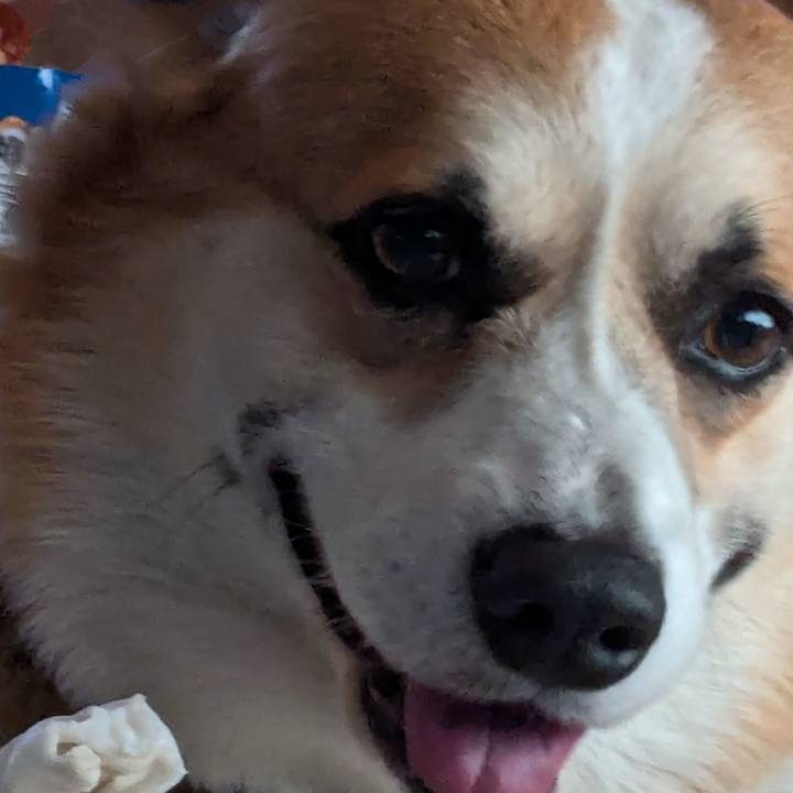 160285c1 2c95 4683 93b8 79a279201e21 1751971668031