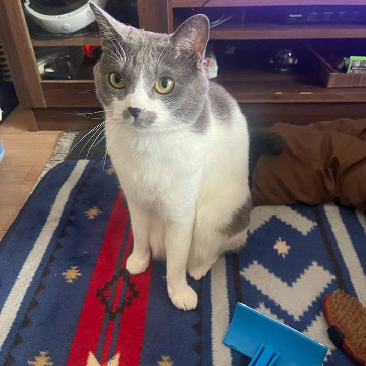 16029924 4fe6 41e0 b0b6 a71554c0878f 1672537654785