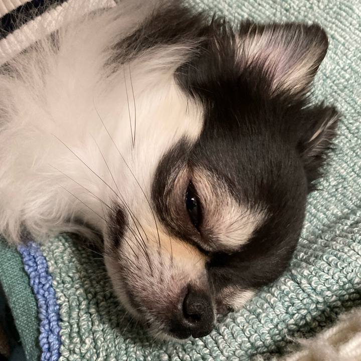 1602efac f475 4810 b22e 9c51c282167c 1655645679048