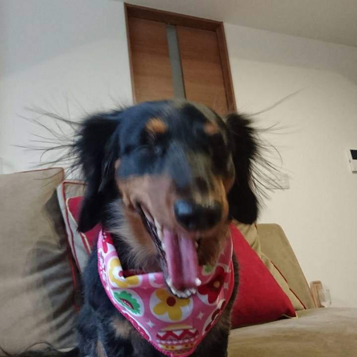 16031b1e 8a5c 4d01 ae69 e9bfa62898b0 1550486551213