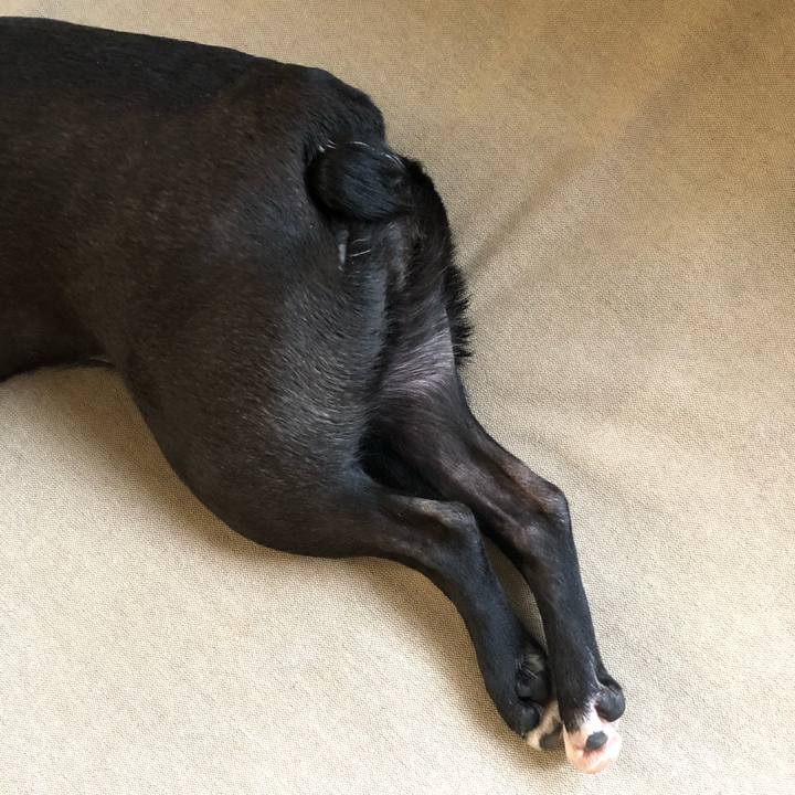 160348d3 9b95 4034 8a6f 16695eebfcc2 1582956722856