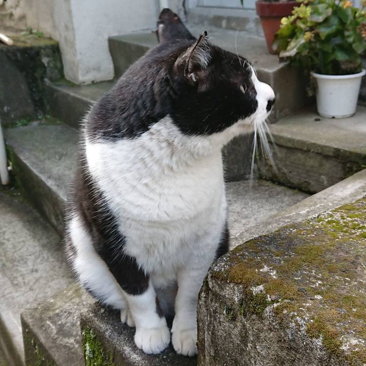 16036c2b 9833 4d36 8230 b39bf4805202 1550618228483