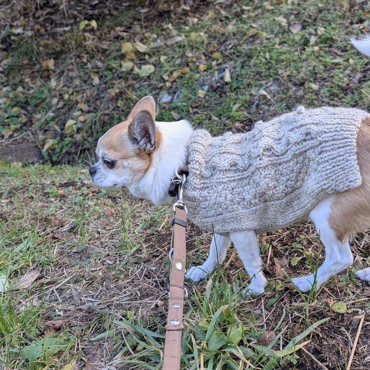 16038aca 811a 4386 a8ae 158d058e3975 1766384277341