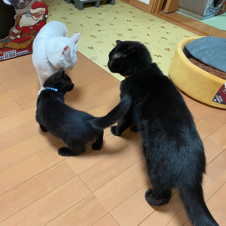 1604043a 35b6 4cc9 973d 443bce1f168a 1637053120268