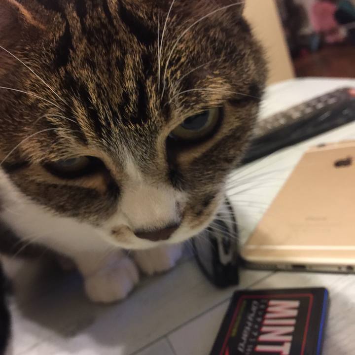 1604085a de0b 4e82 84cb 4d6611d53e51 1555860013720