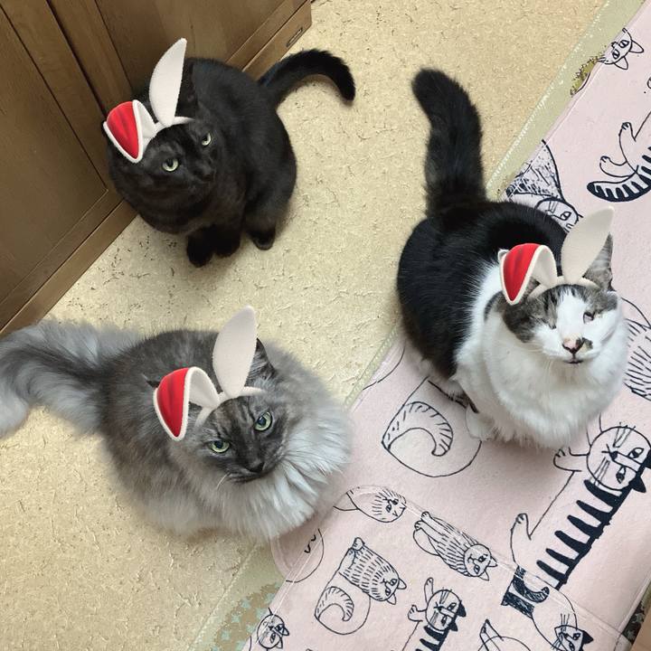 160485ab dda5 4020 93a7 776250292be5 1735044113962