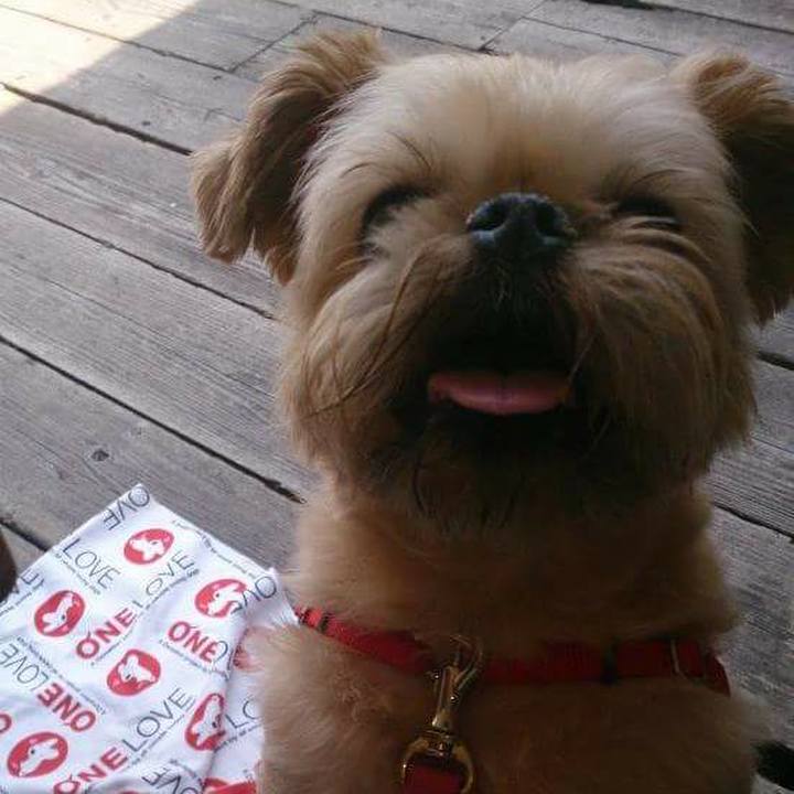 160487bf 09c0 44cb bee6 54fe53f1029d 1536793617921